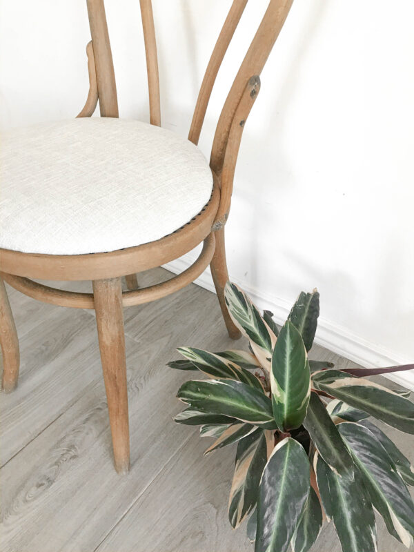 Silla Emilia II - Imagen 8