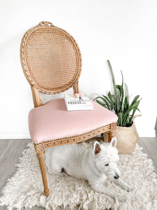 Silla Renata - Imagen 3