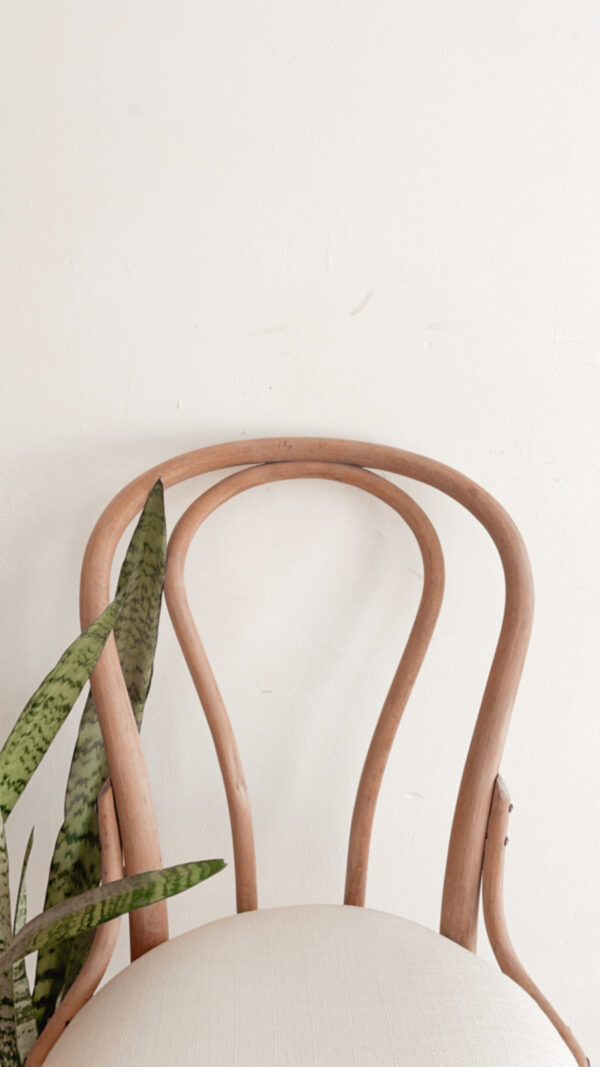 Silla Dorotea - Imagen 5