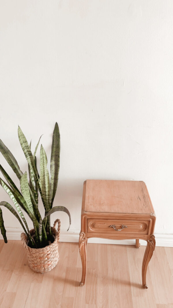 Mesita Begonia - Imagen 2
